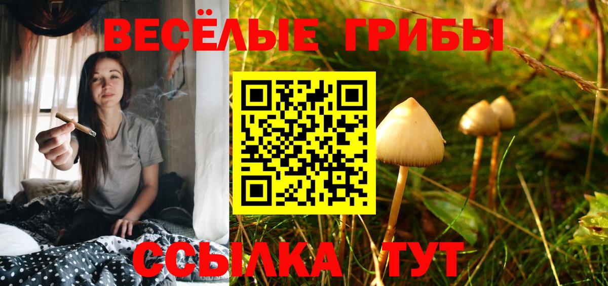 Серов  Галлюциногенные грибы Magic Shrooms  Вход с VPN 