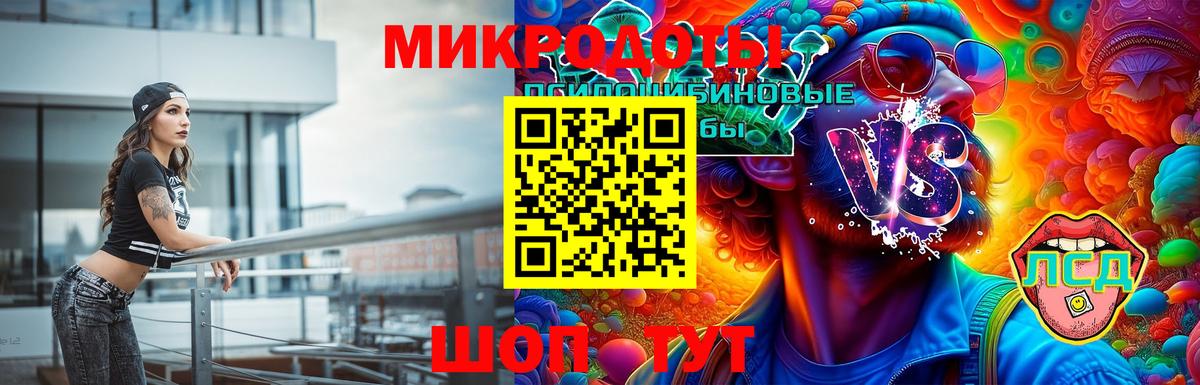 Псилоцибиновые грибы мухоморы Серов